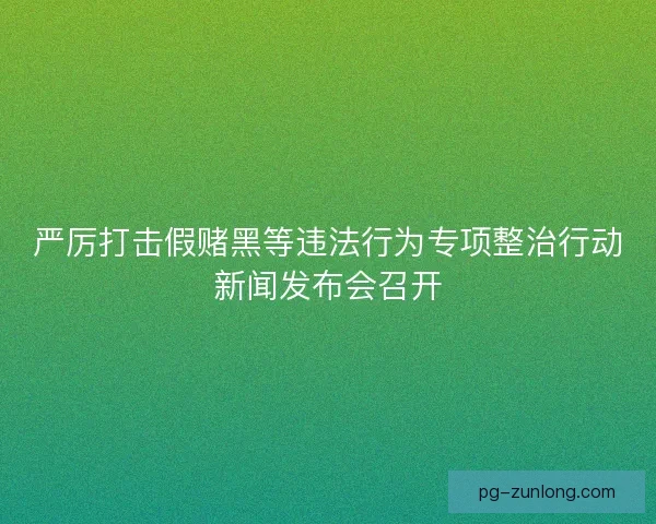 严厉打击假赌黑等违法行为专项整治行动新闻发布会召开